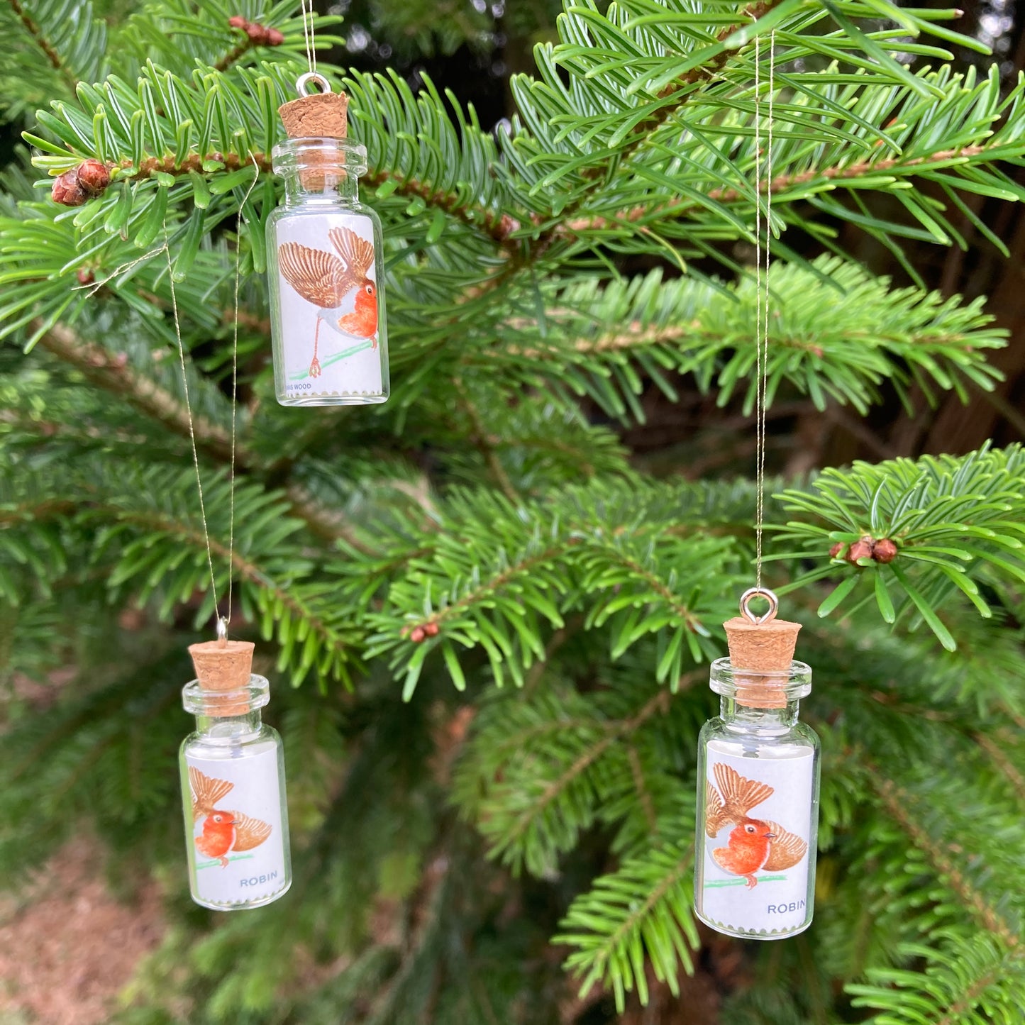 Robin Postage Stamps in Miniature Bottles (Set of 3, 1966)