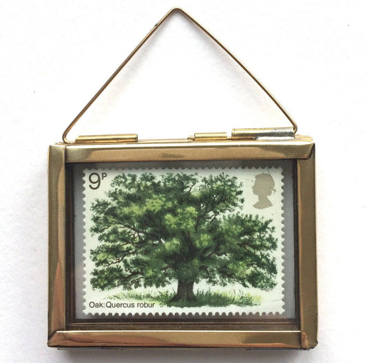 Oak Tree (1973)