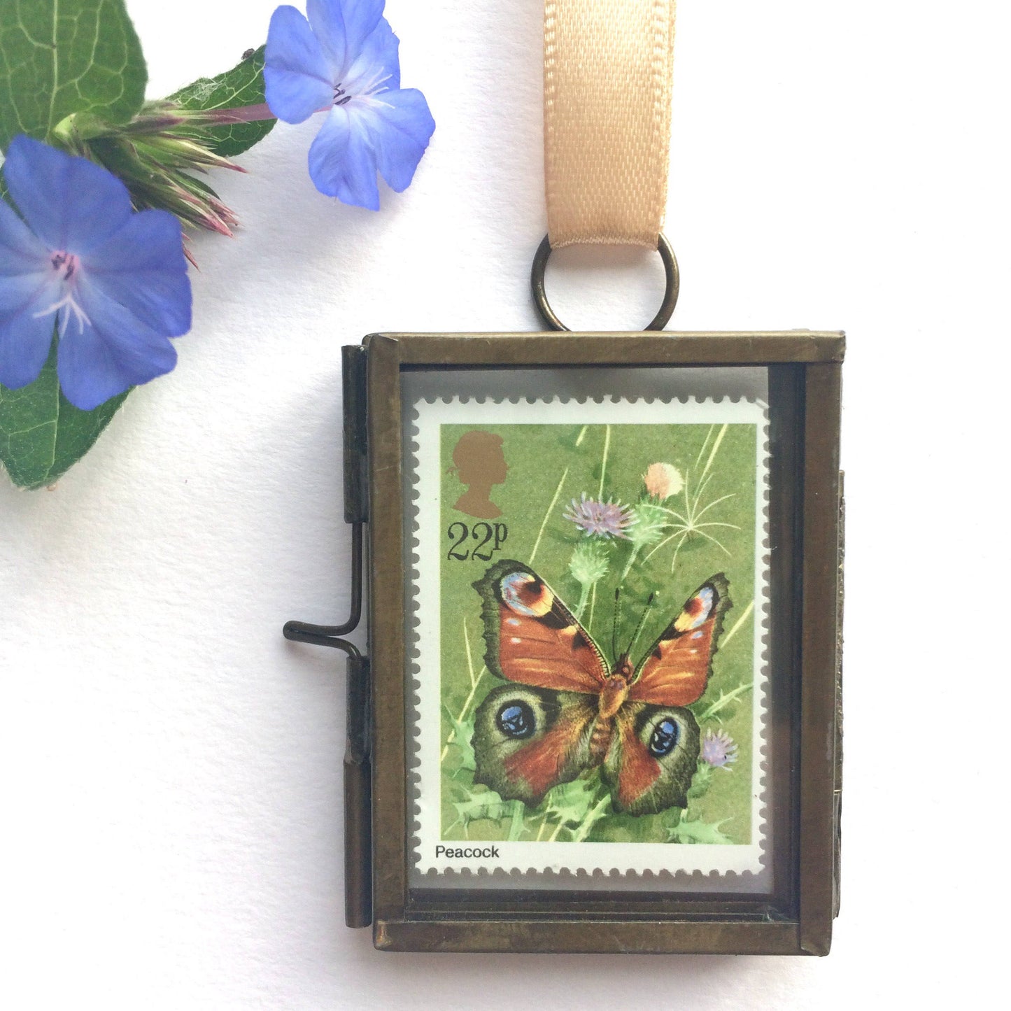 Butterflies (1981)