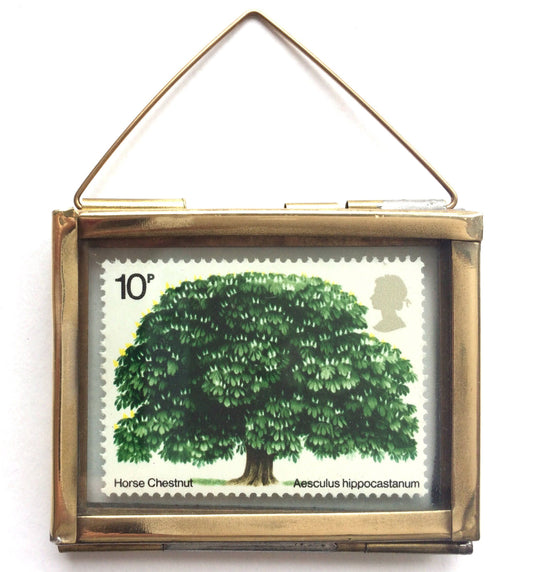 Horse Chestnut Tree (1974)