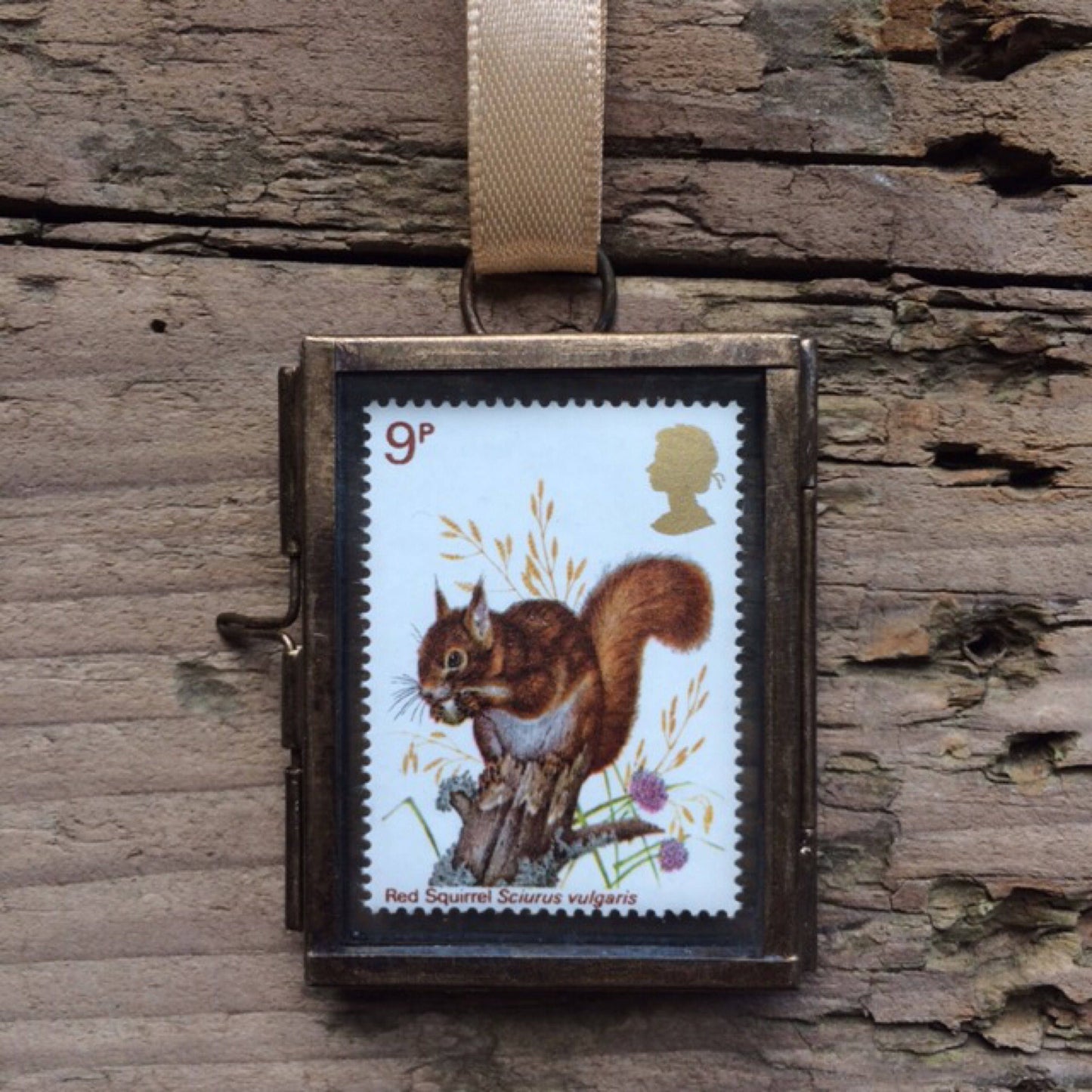 Red Squirrel (1977)