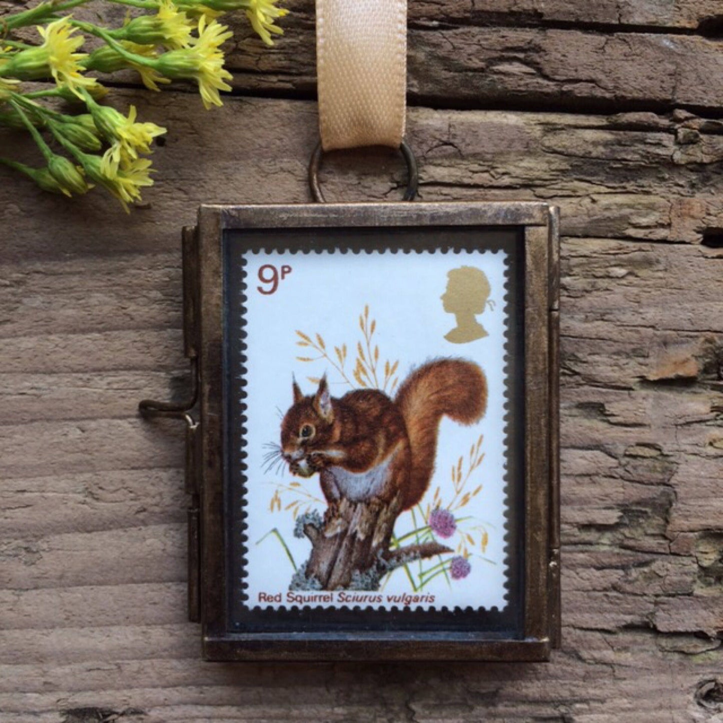 Red Squirrel (1977)