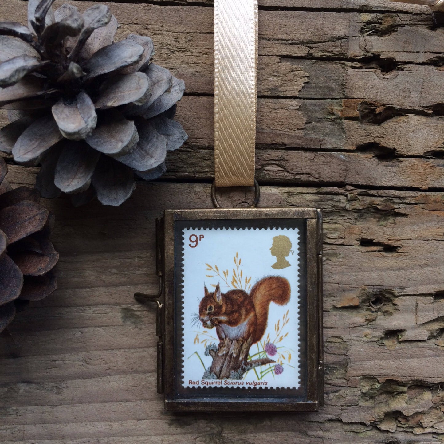 Red Squirrel (1977)