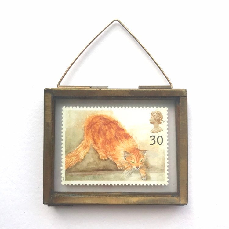 Ginger Cat (1995)