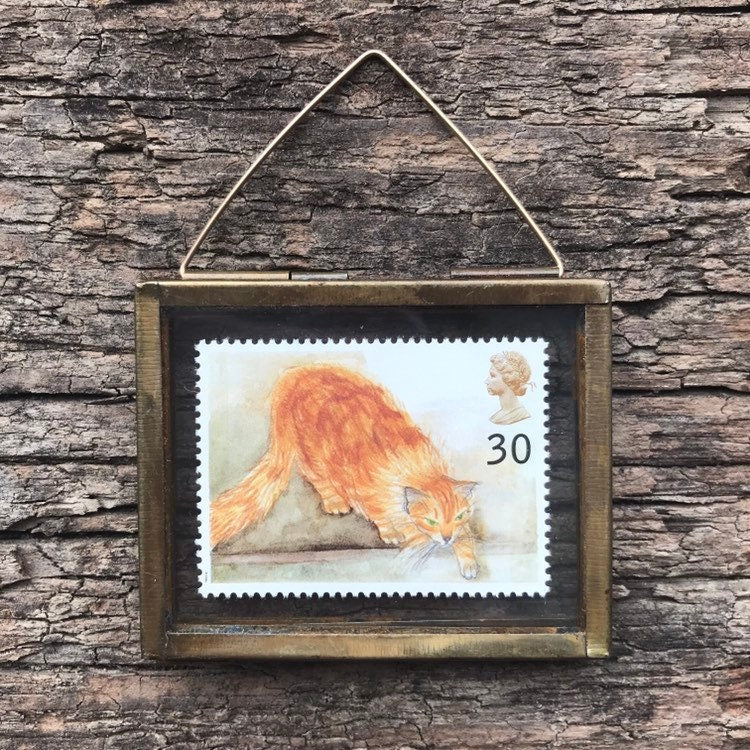 Ginger Cat (1995)
