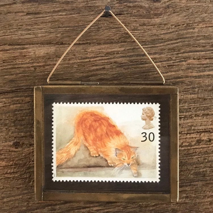 Ginger Cat (1995)