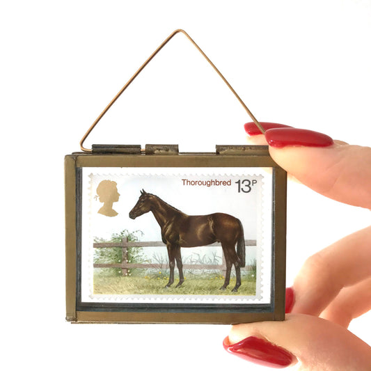 Thoroughbred Horse (1978)