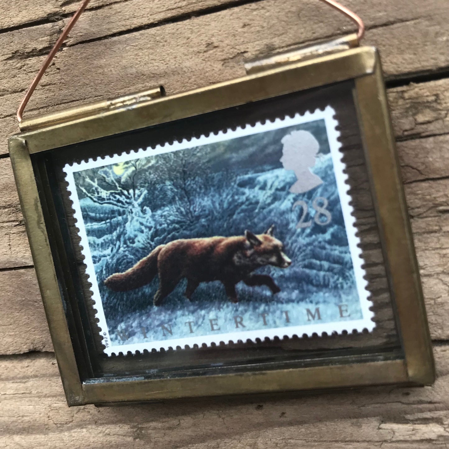Wintertime Fox (1992)