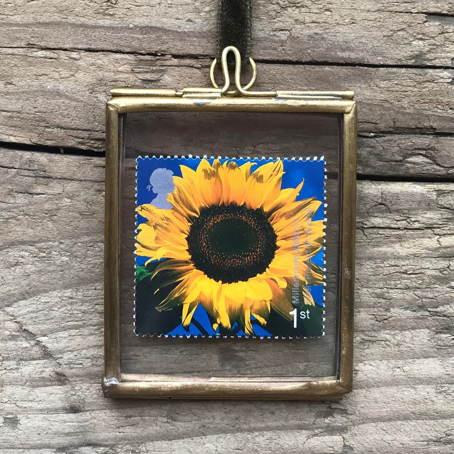 Sunflower (2000)