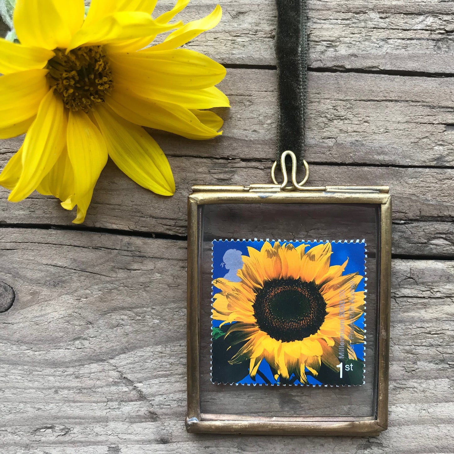 Sunflower (2000)