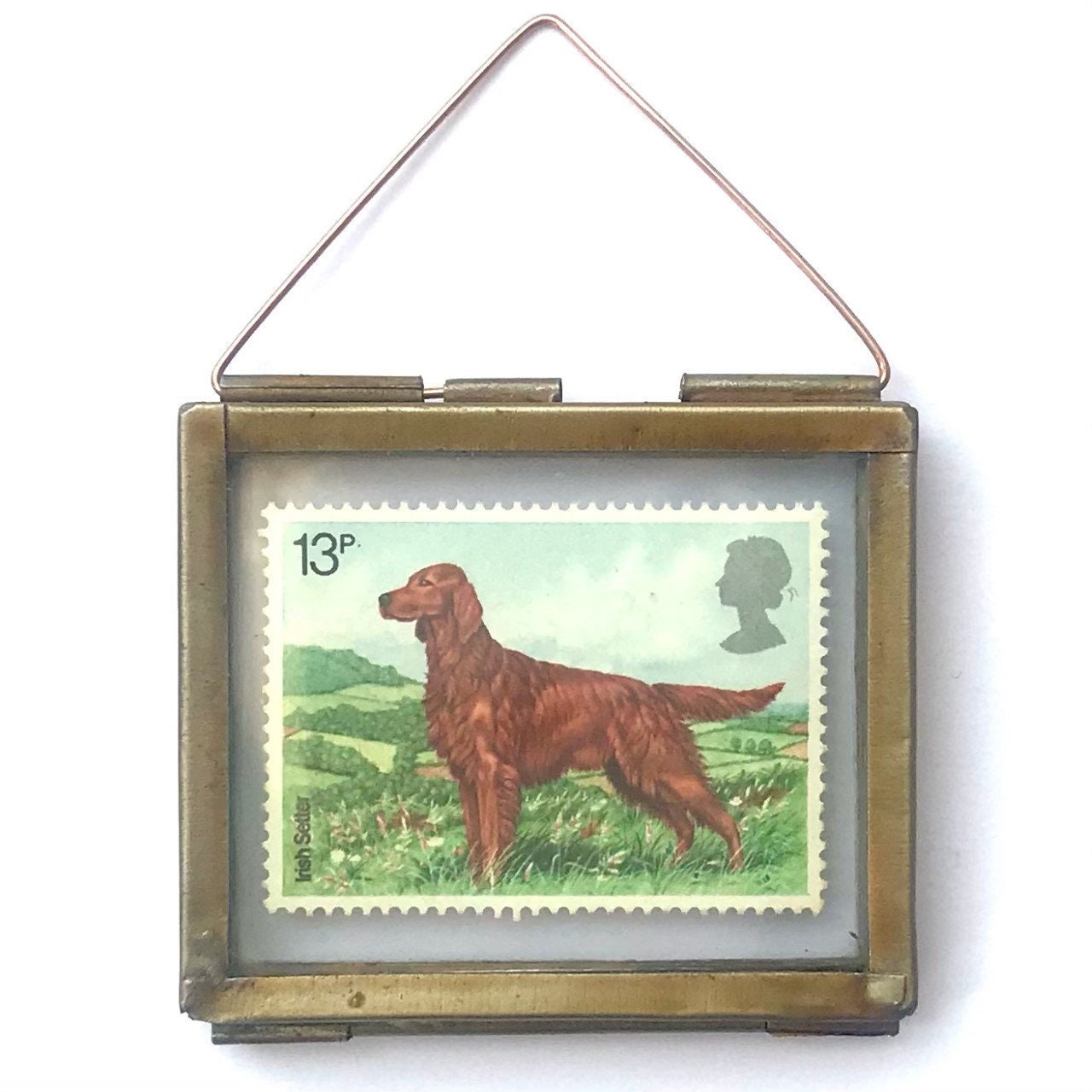 Irish Setter (1979)