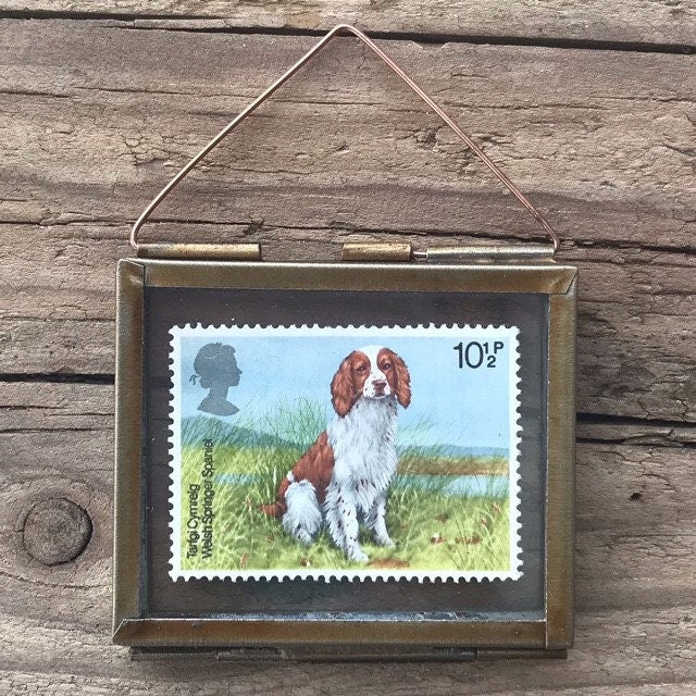 Welsh Springer Spaniel (1979)