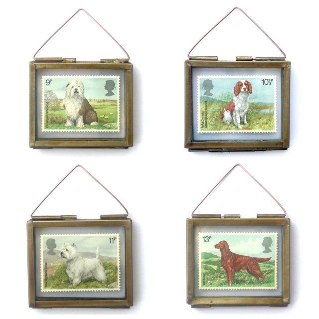 Welsh Springer Spaniel (1979)