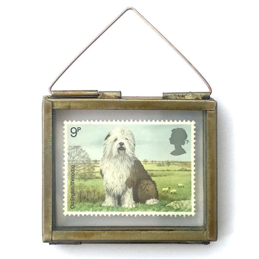 Old English Sheepdog (1979)