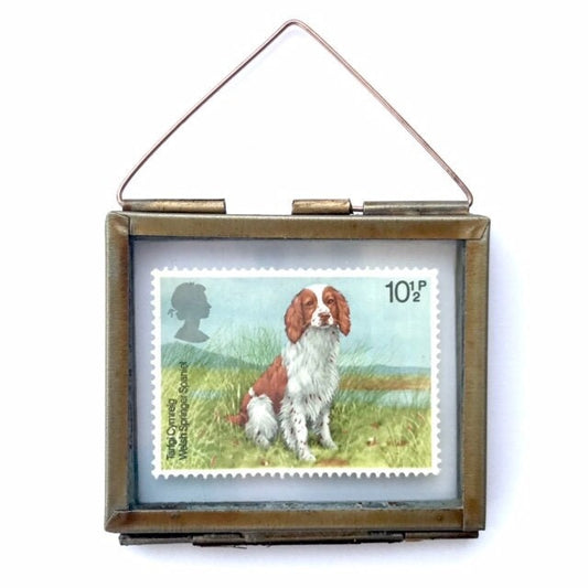 Welsh Springer Spaniel (1979)