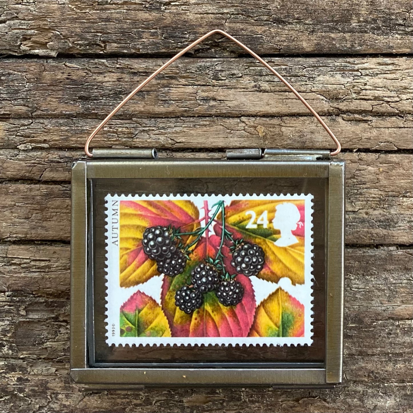 Blackberries (1993)